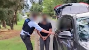 Australian Federal Police have arrested two men in relation to a terrorist network.