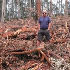 John Perkins, convener of Friends of Durras standing in logging debris near Batemans Bay. 