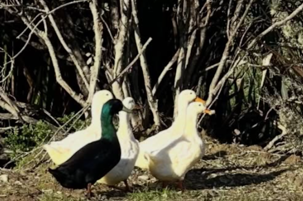 Rebecca Gibney reveals touching sign after losing mum Shirley and friend Sam Neill within weeks | Nine.com.au
