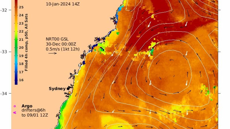 Sydney sweats through muggiest day on record