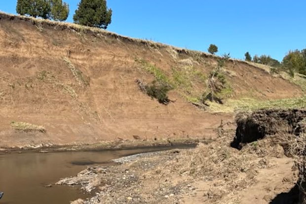 Severe erosion on the riverbanks of the Richmond River in the upper catchment.