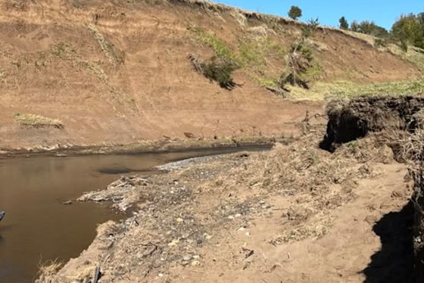 Severe erosion on the riverbanks of the Richmond River in the upper catchment.