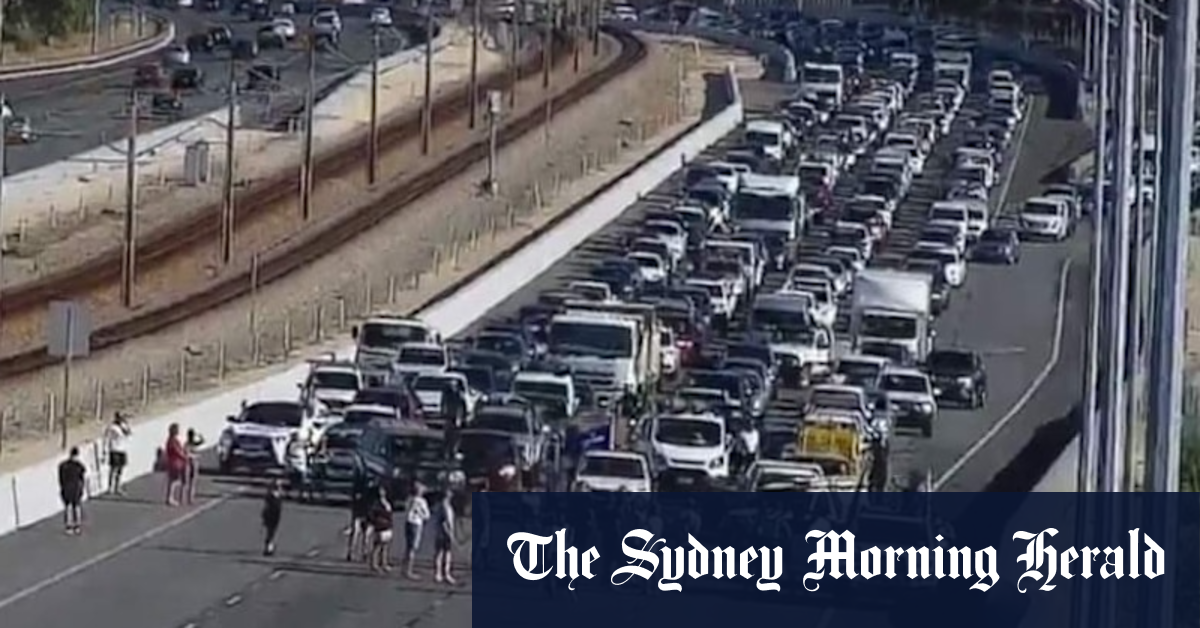 WA Police lay charges over freeway-blocking anti-vax protest - Vimarsana News