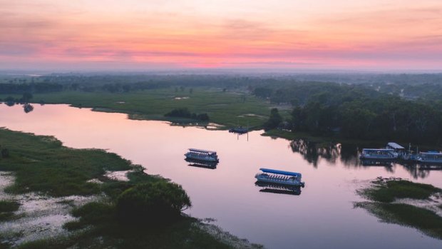 Take in the beauty of the NT on the Yellow Waters cruise.