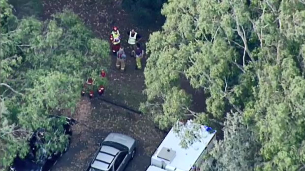 Operator insists Healesville caravan park has ‘thorough maintenance program’ after camper killed by falling tree branch