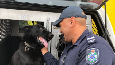 Queensland Police Dog Bravo is reunited with handler Senior Constable Joseph Alofipo.