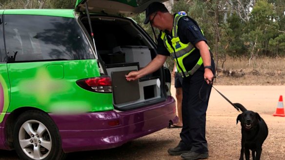 Police using a detection dog search cars at Rainbow Serpent Festival for drugs.