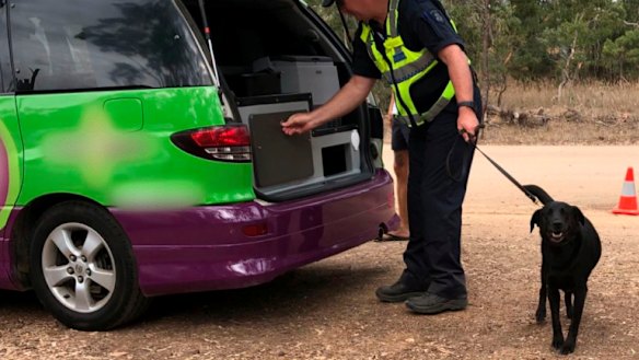 Police using a detection dog search cars at Rainbow Serpent Festival for drugs.