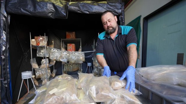 The MDMA powder seized by Queensland police could have made up to 12 million ecstasy tablets.