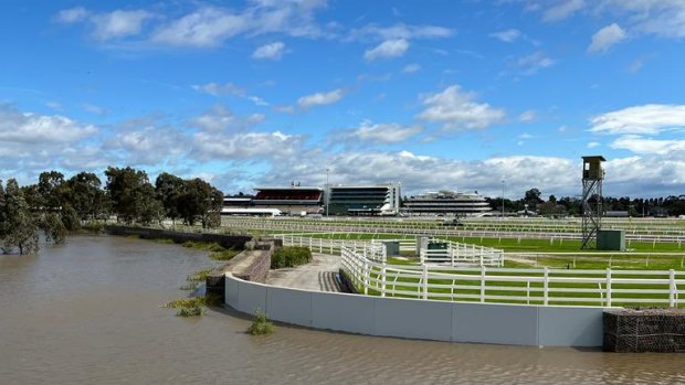 The flood wall around Flemington racetrack on Friday, protecting the turf.