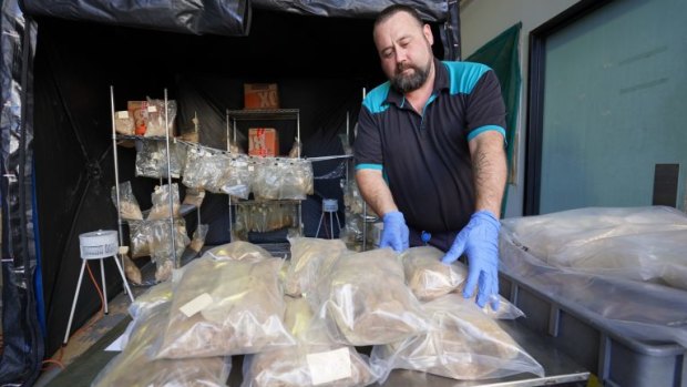 Queensland police forensic officers display the mass of drugs bagged and tagged as evidence following the record bust.