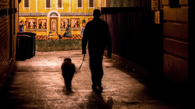 Some readers would like to walk their dog after 8pm when the kids are in bed.