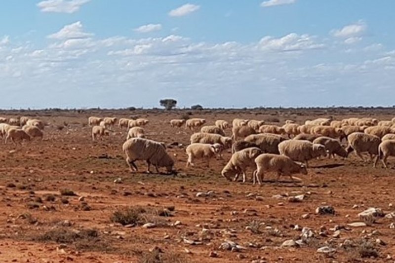 Outback property the size of Sydney once coveted by Twiggy now on sale