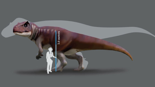 An artist's rendering of the Jurassic dinosaur track-maker from southern Queensland in front of a silhouette of the largest known T.rex