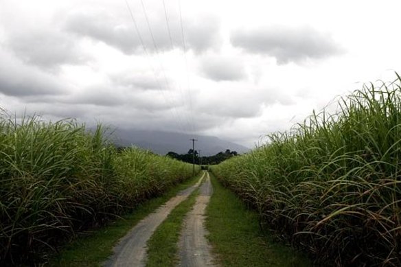 Wilmar Sugar has been hit by strikes.