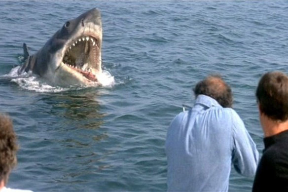 The film Jaws has left its mark on the population. 