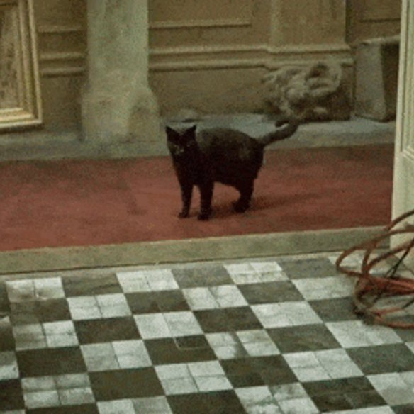 In The Matrix, our hero sees the same cat walking by twice. This “deja vu cat” is explained as a glitch in the artificial reality depicted in the film.