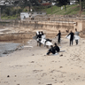 Surfers inspect the boy’s board after it was bitten by what is believed to have been a bull shark.