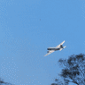 GIF