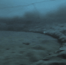 Underwater footage reveals the terrible cost of industrial fishing