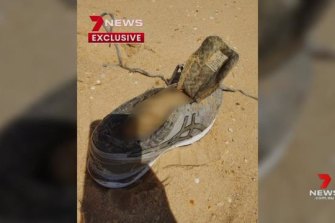 Missing Sydney businesswoman Melissa Caddick’s shoe and foot were found on a South Coast beach.