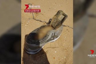 Missing Sydney business woman Melissa Caddick’s shoe and foot were found on a South Coast beach.