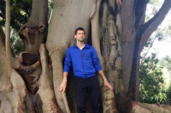 Novak Djokovic at the Royal Botanic Gardens in 2016.