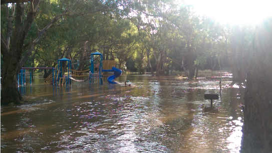 In February 2017 a minor flood damaged infrastructure and crops in the Swan Valley.
