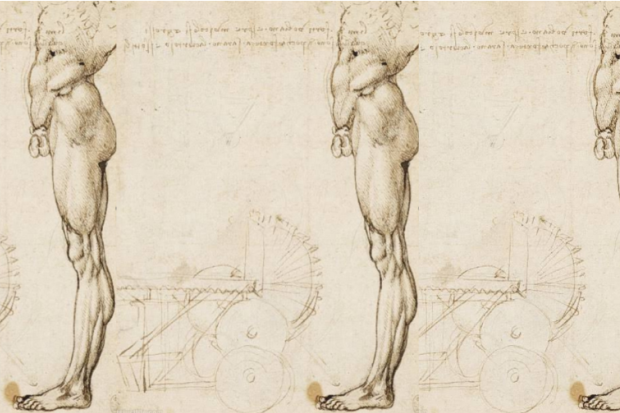 Leonardo da Vinci’s anatomical sketches from the 1500s.