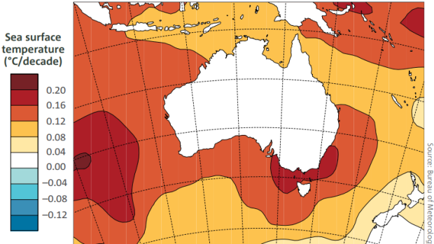 Trends in sea surface temperatures in Australia from 1950 to 2017. 