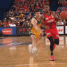 Booming crowds and broadcast numbers on the up: Are these the NBL’s ‘glory days’?