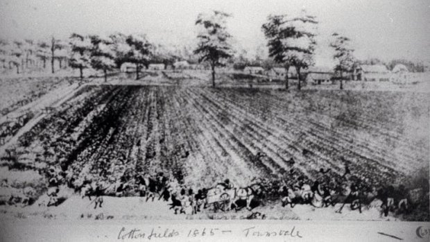 A drawing of Captain Towns’s ‘Townsvale’ cotton plantation, Veresdale, ca. 1865.