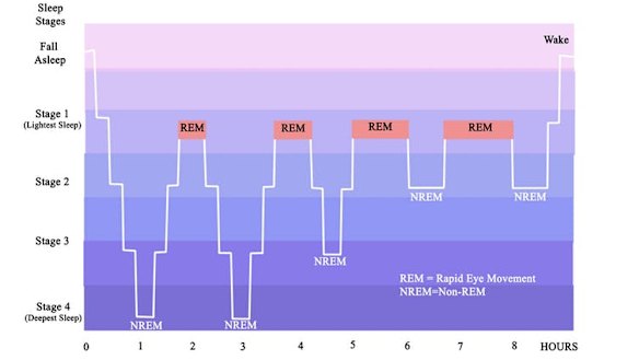 What good sleep looks like.
