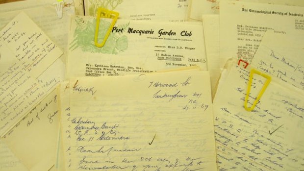 Just a few of the flood of letters Kathleen received during the Cooloola campaign, from the WPSQ collection held at the State Library of Queensland.