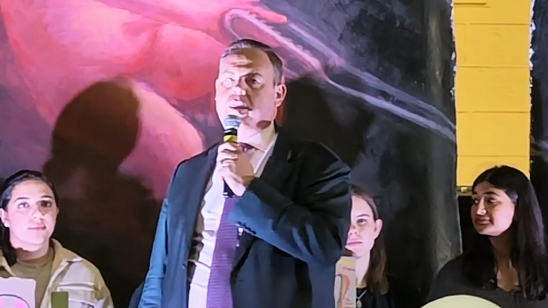 NSW One Nation leader says party will ‘stop’ abortion rights