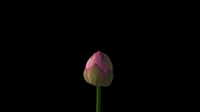 new