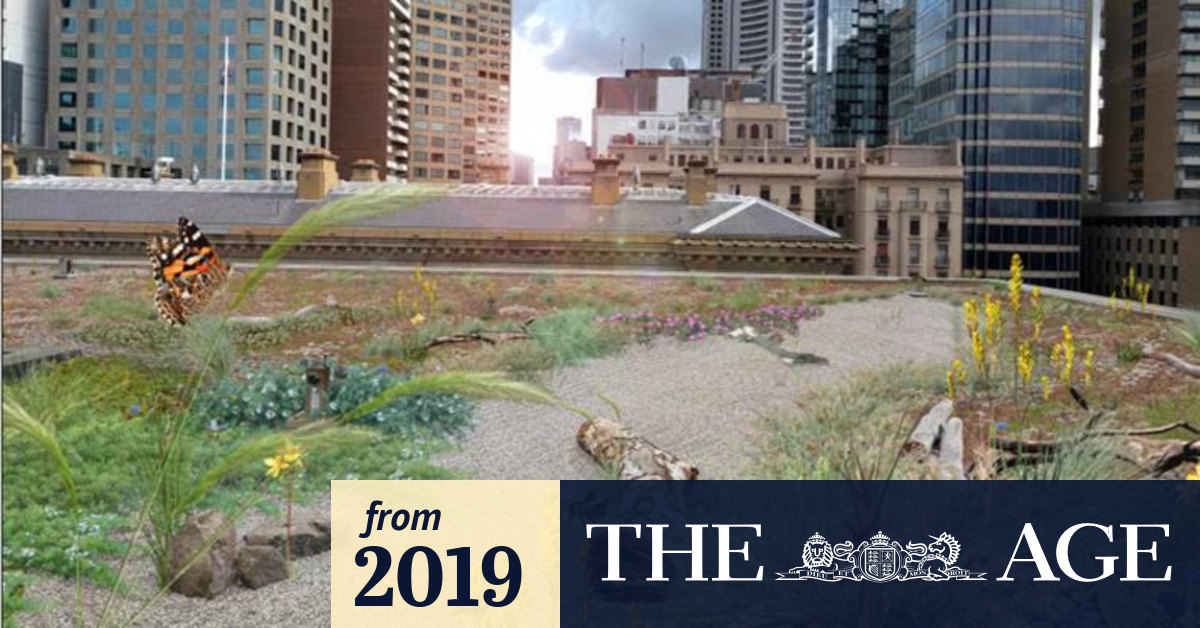 Transforming Melbourne S Skyline Push For Green Roofs Across The City