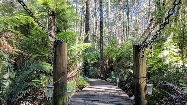 Getting out into nature can help get some perspective and exercise after a break-up.