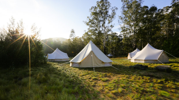 Luxury camping company Wildfest will be providing the accommodation at Tidbinbilla with 10 bell tents being pitched at the nature reserve. 