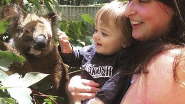 Orana the koala, pictured, was stolen from Adventure World on Saturday night. 