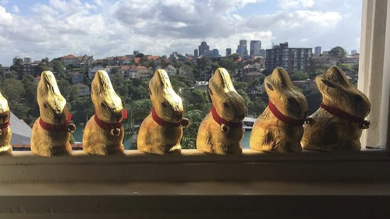 I assemble a chocolate Bunny Army every Easter. But this year, I’m facing defeat