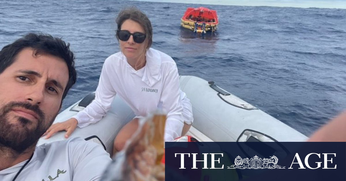 'We hit a whale and the ship went down': Sailboat crew rescued in the Pacific - Vimarsana News
