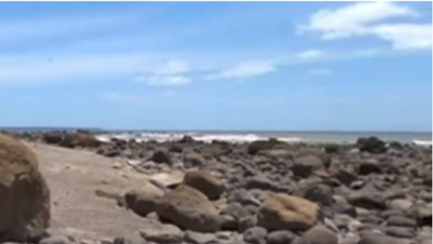 Ancestral bones have washed up around Maketu Beach in New Zealand after a landslide.  