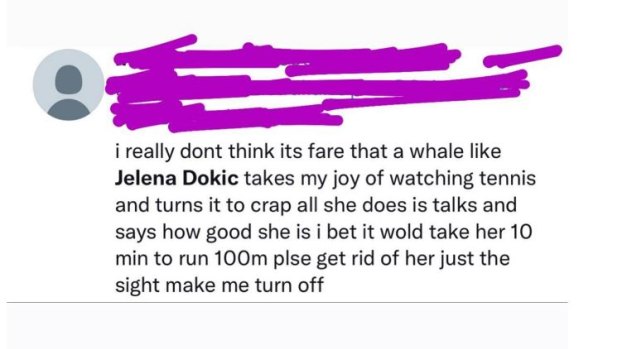 A comment targeting Jelena Dokic on social media.