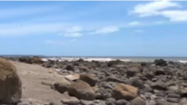Landslide scatters bones across beach in New Zealand