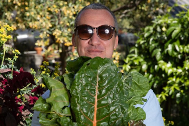 Gardener Darryl Nichols founded Grow It Local