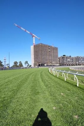 What the horses see on the home turn at Eagle Farm.