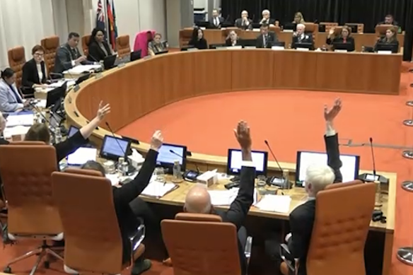 Six councillors voted for the referendum motion, but nine voted against it.