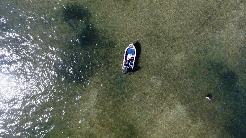 Choked by algae decades ago, the risk of a Moreton Bay bloom is rising
