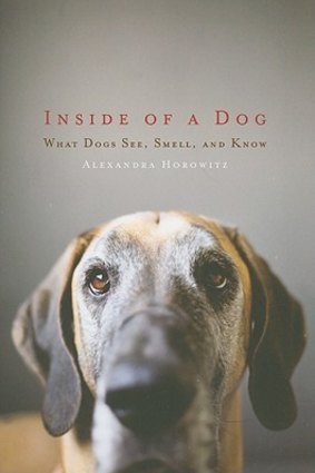 The cover of 'Inside of a Dog: What Dogs See, Smell and Know'.